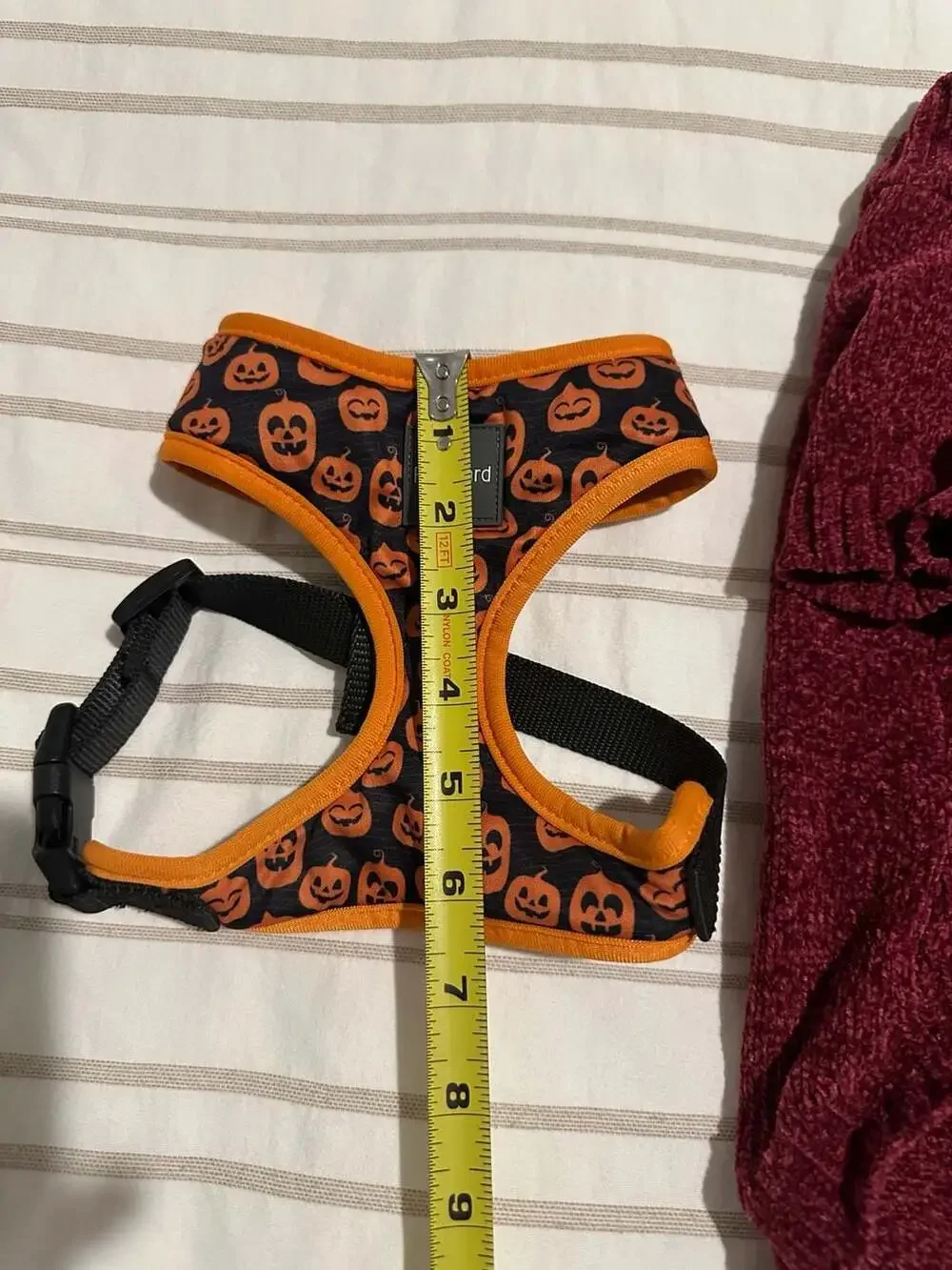 FuzzYard Halloween Pumpkin Dog Harness and ED Ellen DeGeneres Gingerbread Cardig